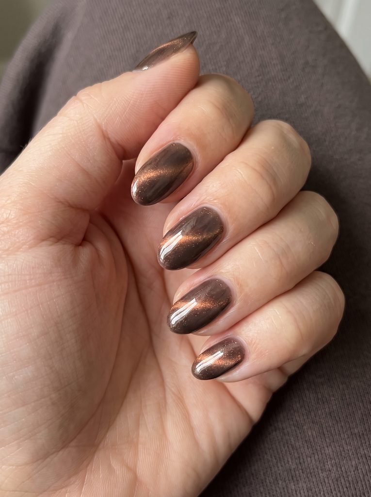 Cat Eye Short Almond Fall Nails