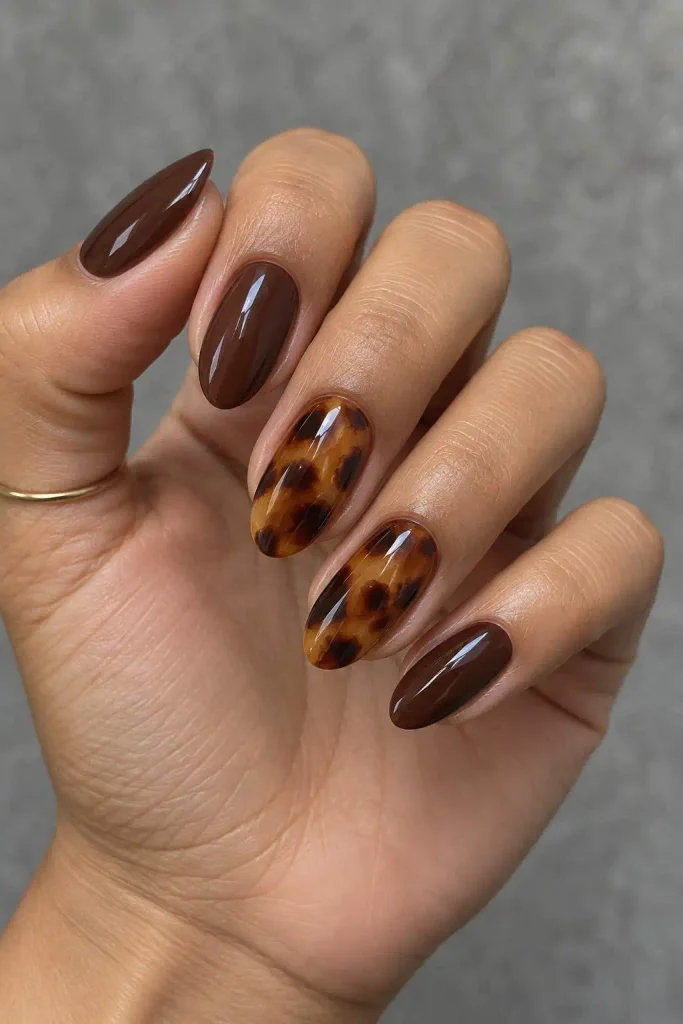 Chocolate Brown Tortoiseshell Accent Nails