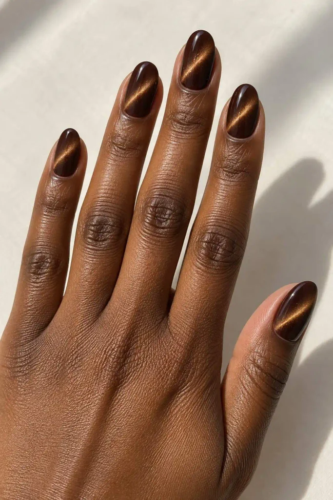 Chocolate Brown Velvet Cat Eye Nails